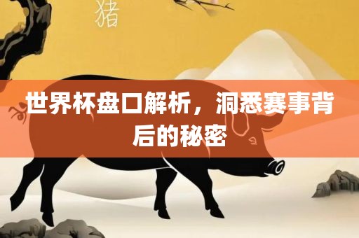 世界杯盘口解析，洞悉赛事背后的秘密