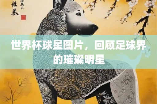 世界杯球星图片，回顾足球界的璀璨明星