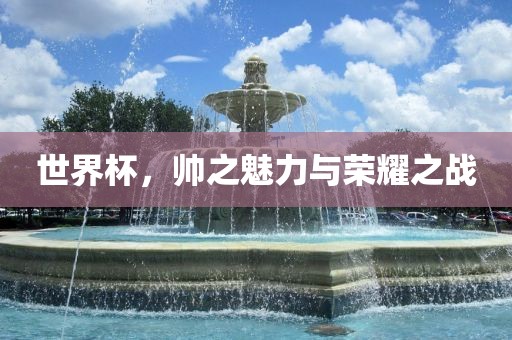世界杯，帅之魅力与荣耀之战