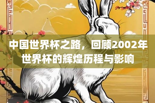 中国世界杯之路，回顾2002年世界杯的辉煌历程与影响