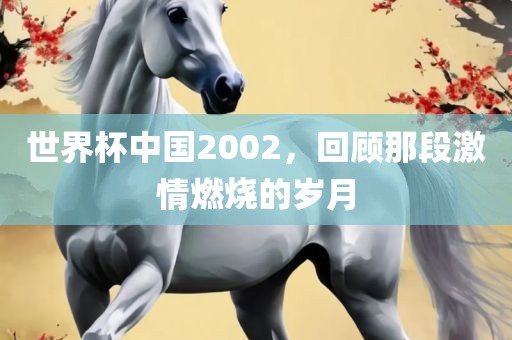 世界杯中国2002，回顾那段激情燃烧的岁月