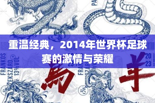 重温经典，2014年世界杯足球赛的激情与荣耀