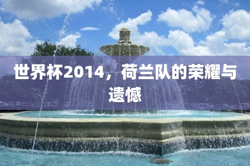 世界杯2014，荷兰队的荣耀与遗憾