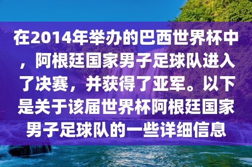 在2014年举办的巴西世界杯中，阿根廷国家男子足球队进入了决赛，并获得了亚军。以下是关于该届世界杯阿根廷国家男子足球队的一些详细信息
