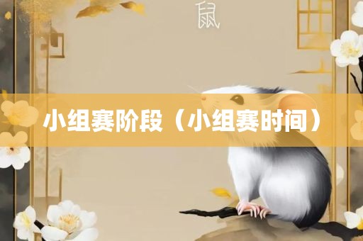 小组赛阶段（小组赛时间）