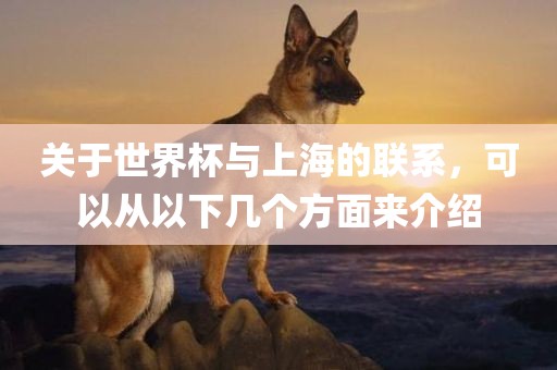 关于世界杯与上海的联系，可以从以下几个方面来介绍