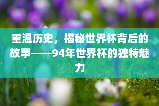 重温历史，揭秘世界杯背后的故事——94年世界杯的独特魅力