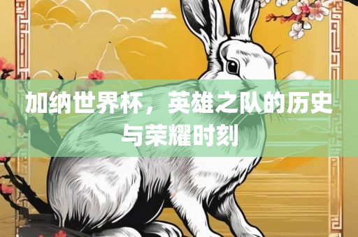 加纳世界杯，英雄之队的历史与荣耀时刻