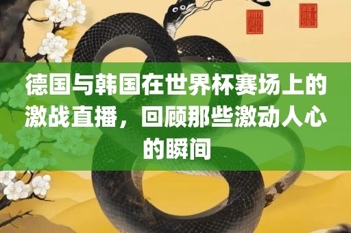 德国与韩国在世界杯赛场上的激战直播，回顾那些激动人心的瞬间