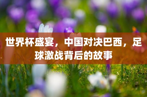 世界杯盛宴，中国对决巴西，足球激战背后的故事