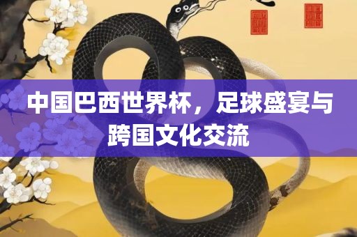 中国巴西世界杯，足球盛宴与跨国文化交流