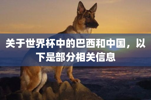 关于世界杯中的巴西和中国，以下是部分相关信息