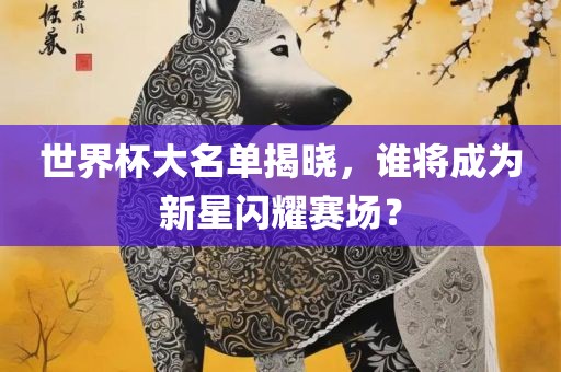 世界杯大名单揭晓，谁将成为新星闪耀赛场？