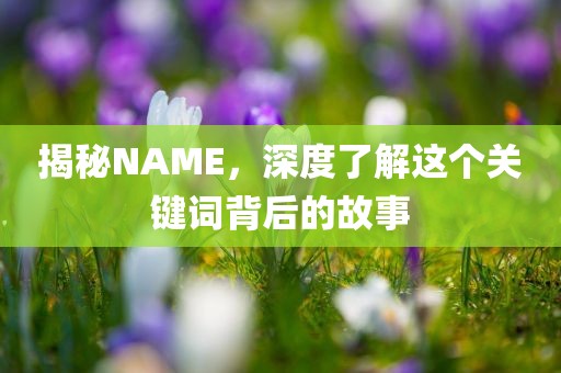 揭秘NAME，深度了解这个关键词背后的故事