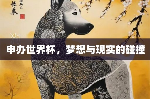 申办世界杯，梦想与现实的碰撞