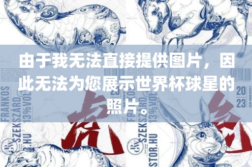 由于我无法直接提供图片，因此无法为您展示世界杯球星的照片。