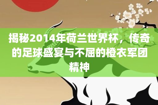 揭秘2014年荷兰世界杯，传奇的足球盛宴与不屈的橙衣军团精神
