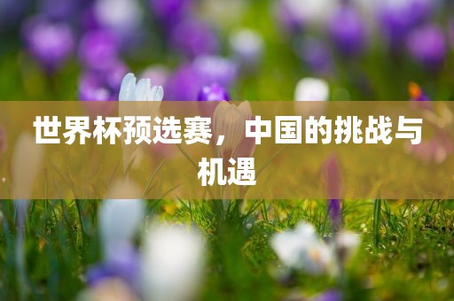 世界杯预选赛，中国的挑战与机遇