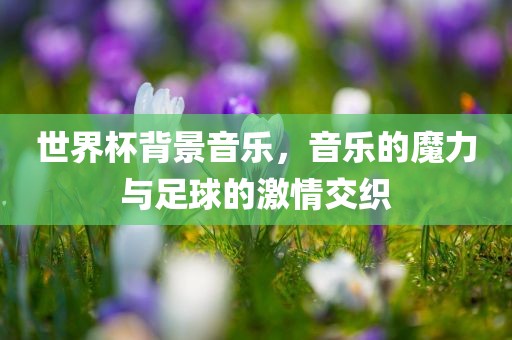 世界杯背景音乐，音乐的魔力与足球的激情交织