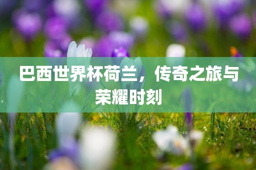 巴西世界杯荷兰，传奇之旅与荣耀时刻