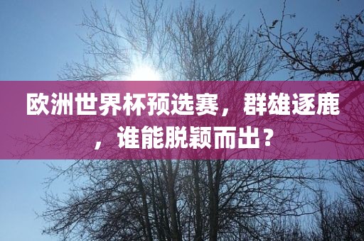 欧洲世界杯预选赛，群雄逐鹿，谁能脱颖而出？