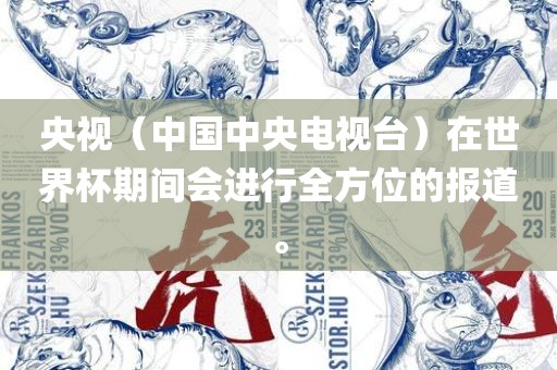 央视（中国中央电视台）在世界杯期间会进行全方位的报道。