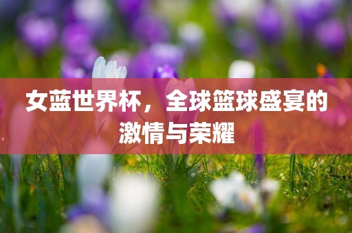 女蓝世界杯，全球篮球盛宴的激情与荣耀