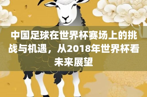 中国足球在世界杯赛场上的挑战与机遇，从2018年世界杯看未来展望