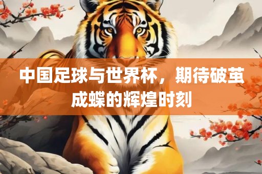 中国足球与世界杯，期待破茧成蝶的辉煌时刻