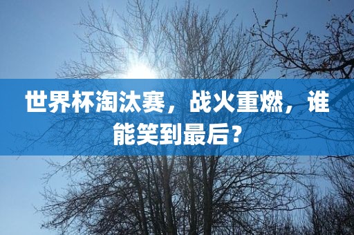 世界杯淘汰赛，战火重燃，谁能笑到最后？
