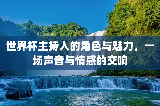 世界杯主持人的角色与魅力，一场声音与情感的交响