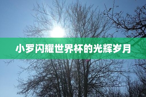 小罗闪耀世界杯的光辉岁月