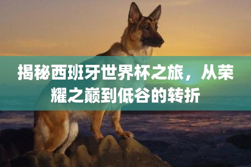 揭秘西班牙世界杯之旅，从荣耀之巅到低谷的转折