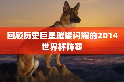 回顾历史巨星璀璨闪耀的2014世界杯阵容