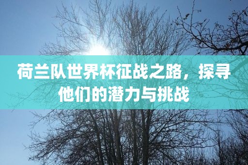 荷兰队世界杯征战之路，探寻他们的潜力与挑战