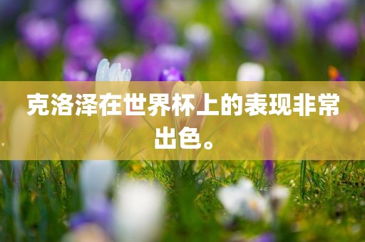 克洛泽在世界杯上的表现非常出色。