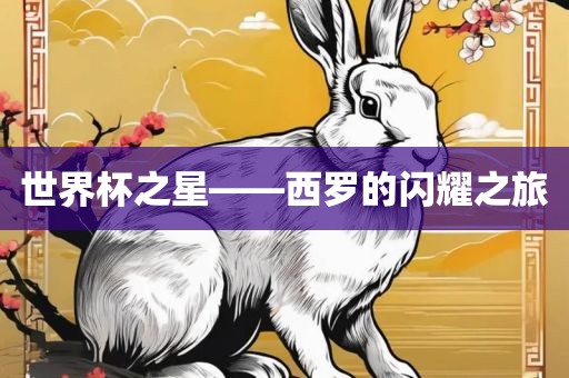 世界杯之星——西罗的闪耀之旅