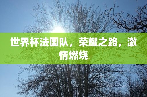 世界杯法国队，荣耀之路，激情燃烧