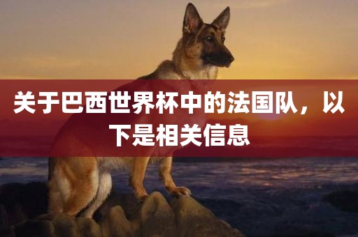关于巴西世界杯中的法国队，以下是相关信息