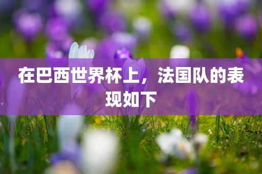 在巴西世界杯上，法国队的表现如下