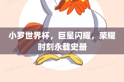 小罗世界杯，巨星闪耀，荣耀时刻永载史册
