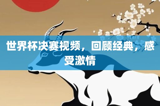 世界杯决赛视频，回顾经典，感受激情