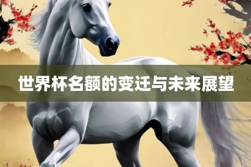 世界杯名额的变迁与未来展望
