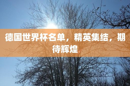 德国世界杯名单，精英集结，期待辉煌