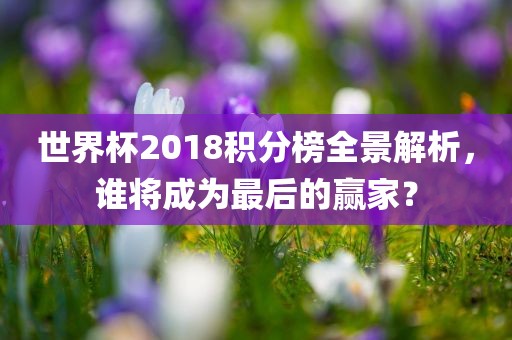 世界杯2018积分榜全景解析，谁将成为最后的赢家？