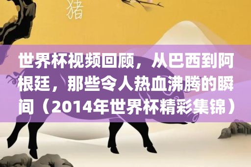 世界杯视频回顾，从巴西到阿根廷，那些令人热血沸腾的瞬间（2014年世界杯精彩集锦）