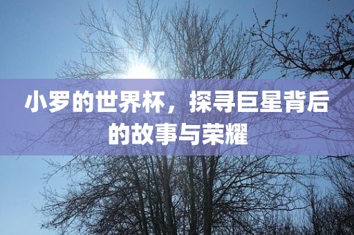 小罗的世界杯，探寻巨星背后的故事与荣耀