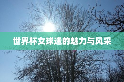 世界杯女球迷的魅力与风采