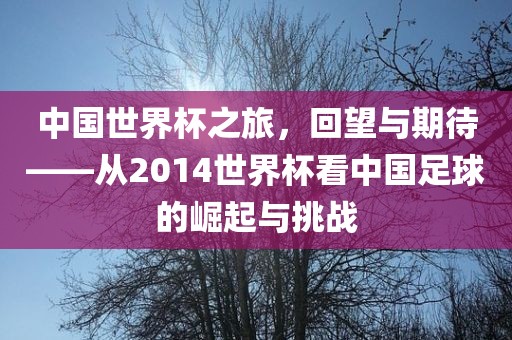 中国世界杯之旅，回望与期待——从2014世界杯看中国足球的崛起与挑战