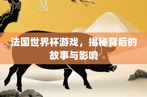 法国世界杯游戏，揭秘背后的故事与影响